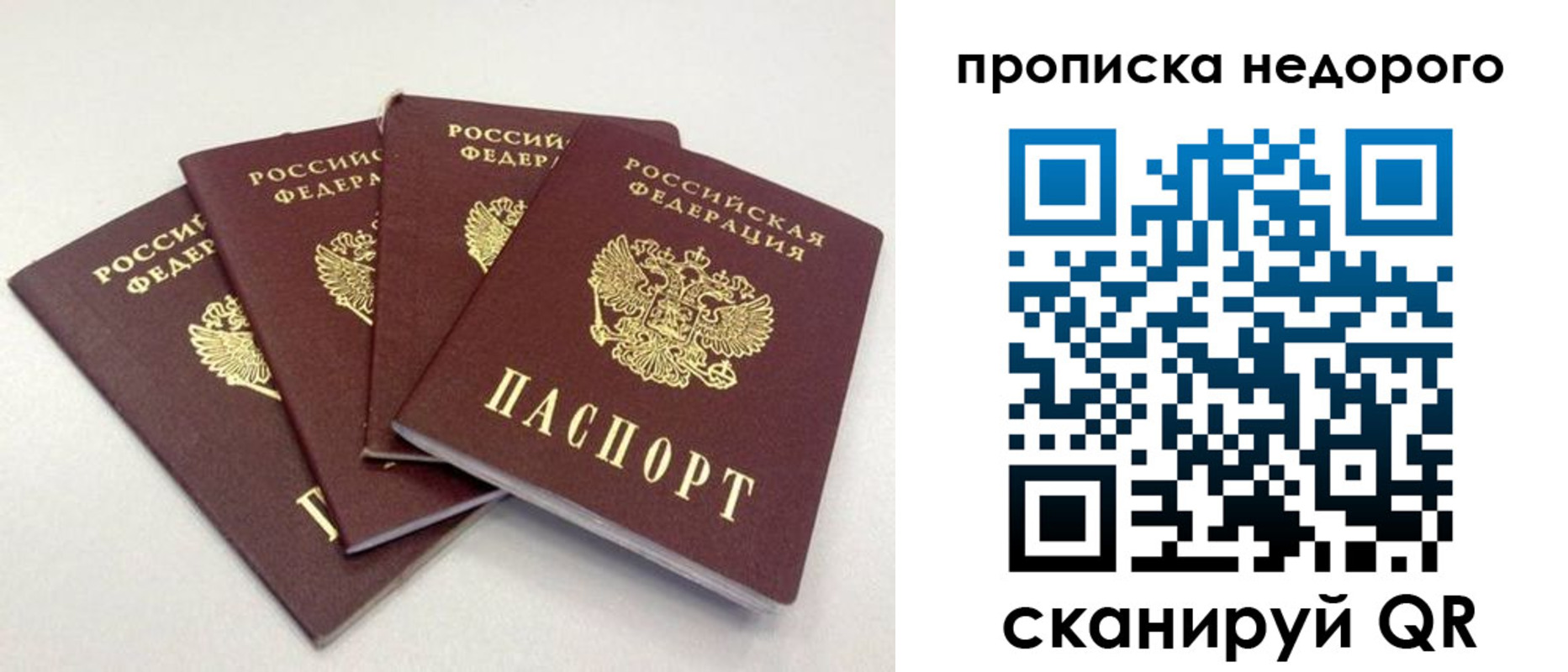 прописка законно в Александровске